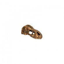 EXO TERRA Small T-rex skull secure hiding place