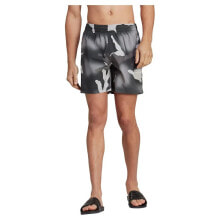 Swimming trunks and shorts