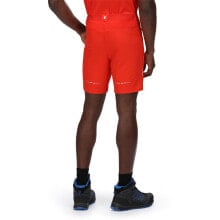 Men's Sports Shorts