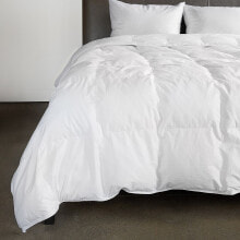 All Season 700 fill Power Luxury White Duck Down Comforter - Twin