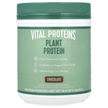 Plant Protein, Chocolate, 16.5 oz (467 g)