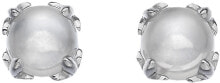 Ювелирные серьги Silver Earrings Hot Diamonds Anais Moonstone AE006