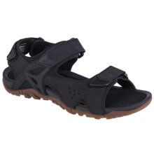 Men's Sandals