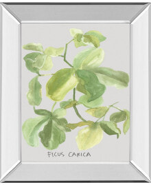 Ficus Carica by Katrien Soeffers Mirror Framed Print Wall Art, 22