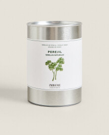 Aromatic parsley garden seed tin kit