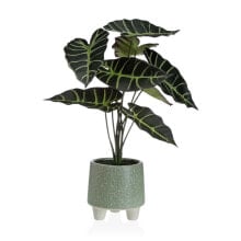 Decorative Plant Versa Plastic