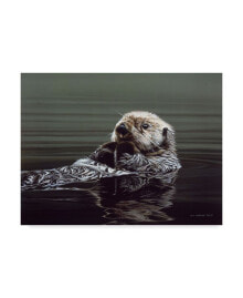 Trademark Global ron Parker 'Just Resting Sea Otter' Canvas Art - 14