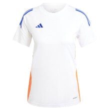 Men's sports T-shirts and T-shirts