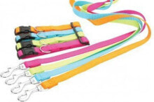 Dog Leashes