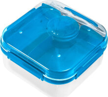 Containers and lunch boxes