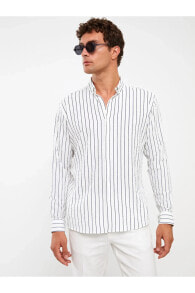 Men's Shirts