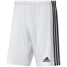 Мужские шорты спортивные белые футбольные Adidas Team 21 шорты M GN5773