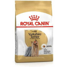 Fodder Royal Canin Yorkshire Terrier 8+ Birds 3 Kg