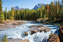 Castorland 1500 EL. Athabasca River - Canada (150762)