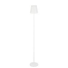 Floor lamps with 1 lampshade