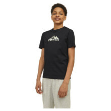 Men's sports T-shirts and T-shirts