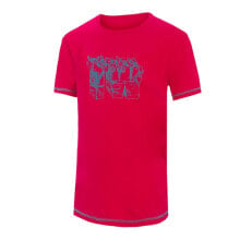 Men's sports T-shirts and T-shirts