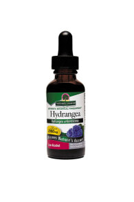 Витамины и БАДы для укрепления иммунитета Nature's Answer Hydrangea Root Жидкий экстракт корня гортензии 2000 мг 30 мл