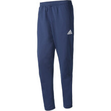 Мужские спортивные брюки мужские брюки спортивные синие зауженные летние Adidas Tiro 17 M BQ2619 training pants