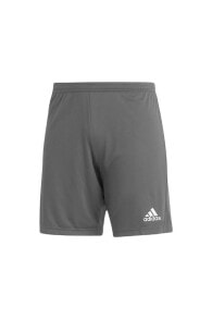 Men's Sports Shorts