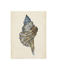 Trademark Global melissa Wang Watercolor Seashell III Canvas Art - 19.5