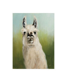 Trademark Global julia Purinton Whos Your Llama I Green Canvas Art - 36.5