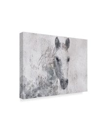 Trademark Global irena Orlov Dapple Horse I Canvas Art - 37