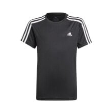 Men's sports T-shirts and T-shirts