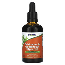 Echinacea & Goldenseal Glycerite, Alcohol-Free, 2 fl oz (59 ml)