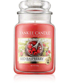 Yankee Candle Housewarmer Red Raspberry