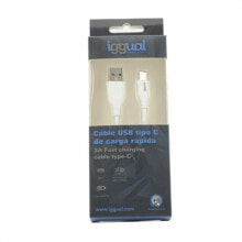 Wall Charger iggual IGG317181