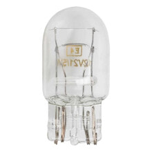 JBM OBN 12V bulb 10 units