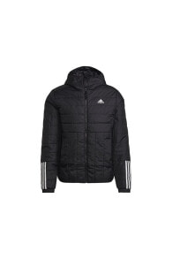 Men's Sports Jackets