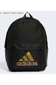 Sports and urban backpacks