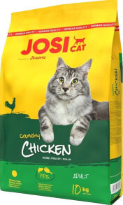 Dry cat food