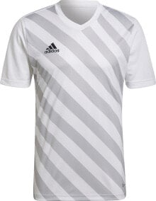 Men's sports T-shirts and T-shirts