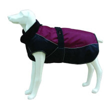 Clothing and shoes for dogs