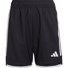 Sports Shorts