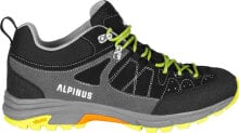  Alpinus