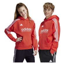 ADIDAS House Of Tiro hoodie