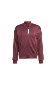 Men's Sports Jackets