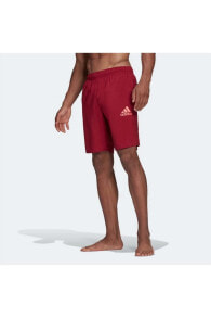 Men's swimming trunks and shorts