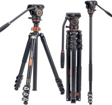Desktop and travel tripods