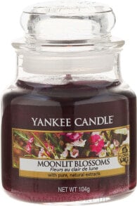 Duftkerze im Glas Moonlit Blossoms - Yankee Candle Moonlit Blossoms Jar