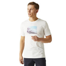 Men's sports T-shirts and T-shirts