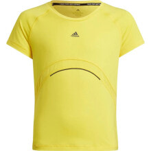 ADIDAS Aeroready Hit Short Sleeve T-Shirt