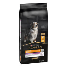 Products for dogs