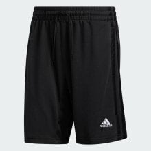 Men's Sports Shorts