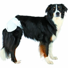 Toilets and diapers for dogs