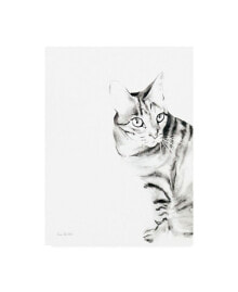 Trademark Global aimee Del Valle Sadie Tiger Striped Cat Canvas Art - 15.5